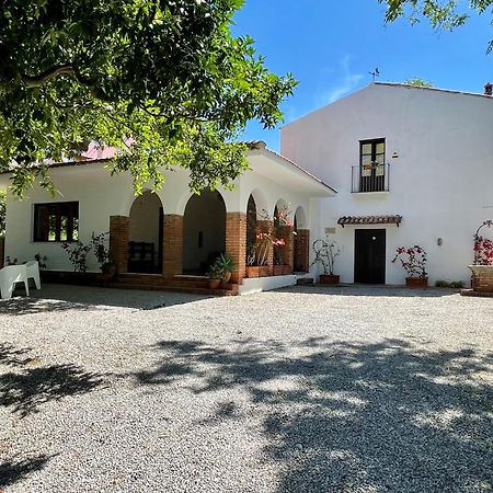 Villa Tana Pacenzia Cefalú Exterior foto