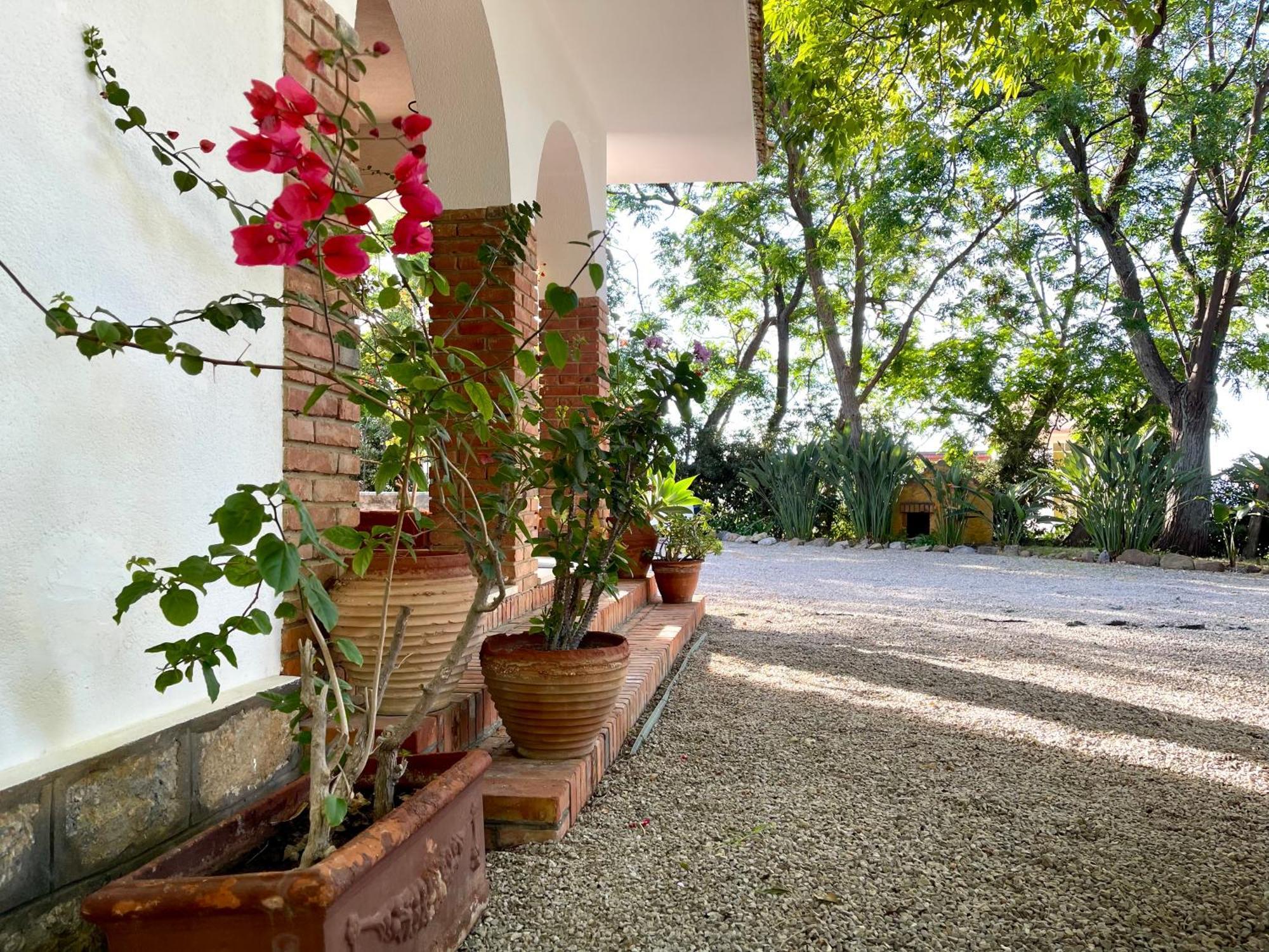 Villa Tana Pacenzia Cefalú Exterior foto